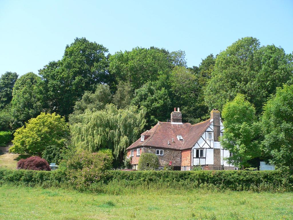 Strand House Winchelsea Eksteriør billede